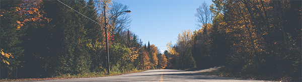 Fall foliage along a road