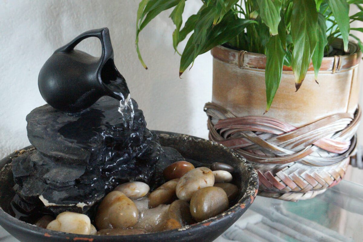 Photo of a tabletop indoor fountain and a houseplant