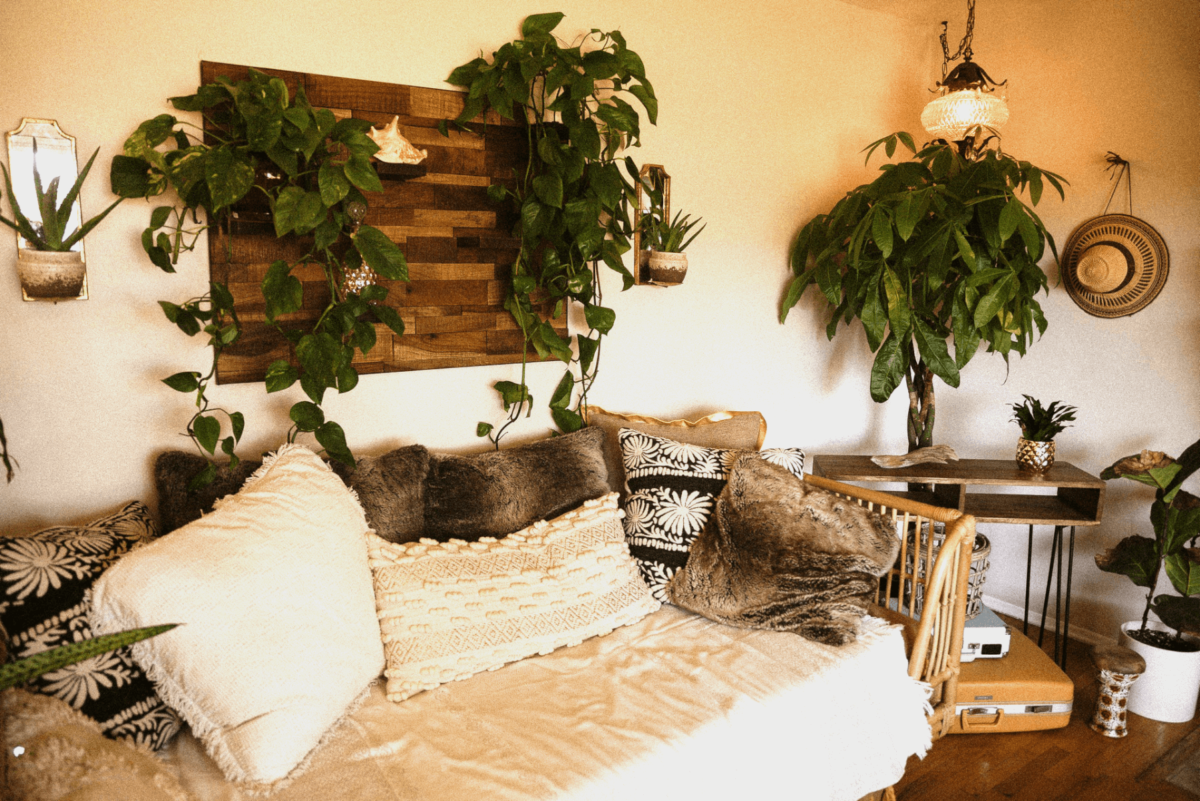 Wall planters in an apartment. Image credit: Wendy Wei