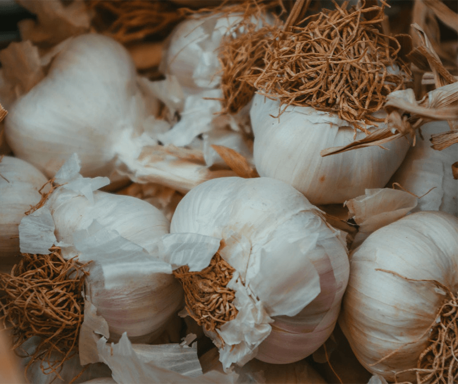Heads of garlic in a basket. Image credit: Dagmara Dombrovska